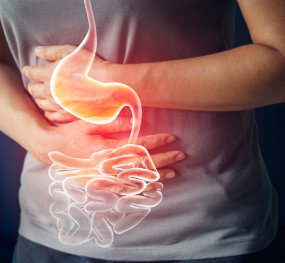 Gastroenterology In Bengaluru