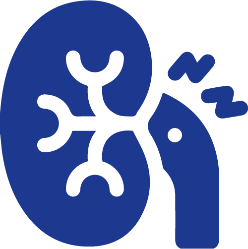 Polycystic kidney disease, or PKD