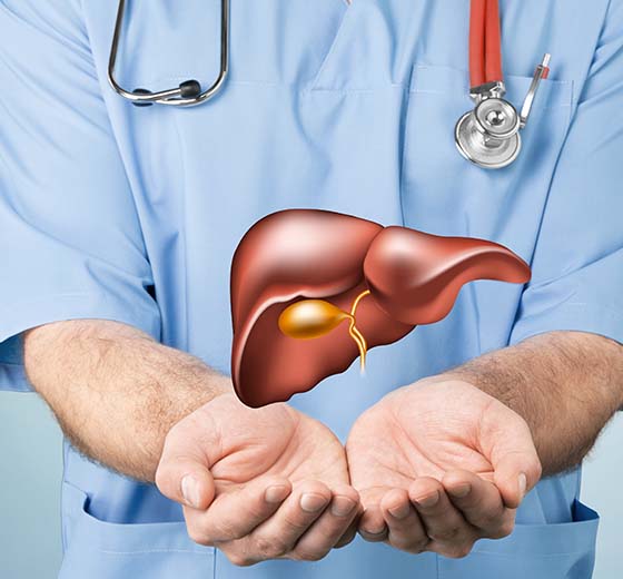 Kidney, Liver & Urinary