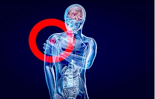 Full Musculoskeletal Range