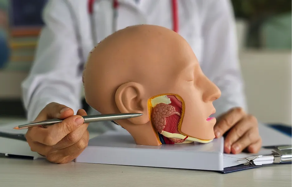 Focused Head & Neck Cancer Expertise