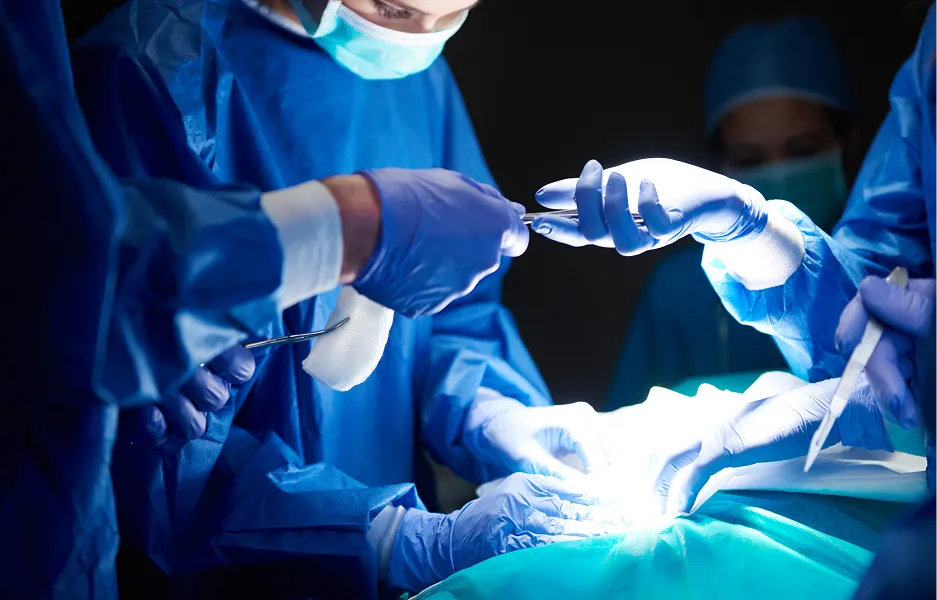 Renal Transplant Expertise